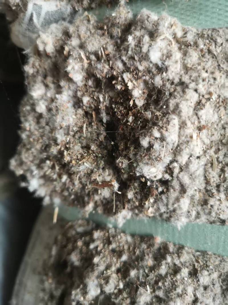 成都优质棉渣壳，大量货源充足