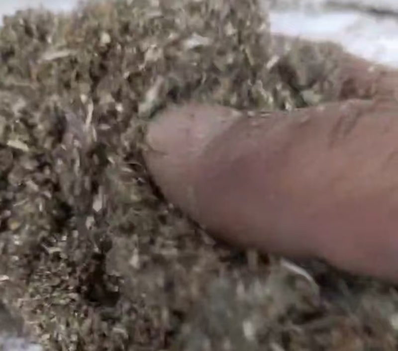 成都优质棉渣壳，大量货源充足