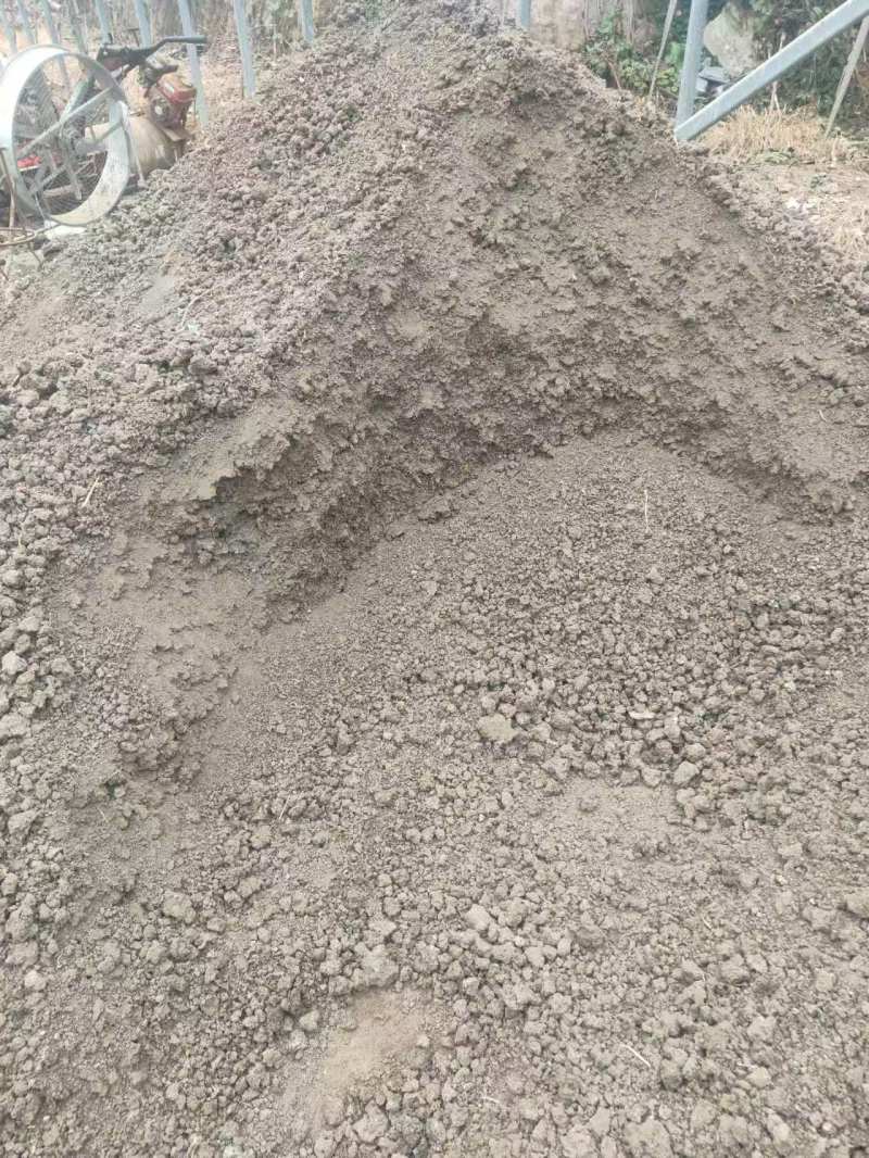 晒干小块状鹌鹑粪鸟粪堆放时间长不容易烧根烧苗肥效好