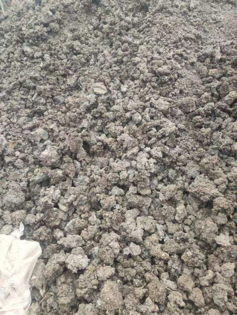 晒干小块状鹌鹑粪鸟粪堆放时间长不容易烧根烧苗肥效好