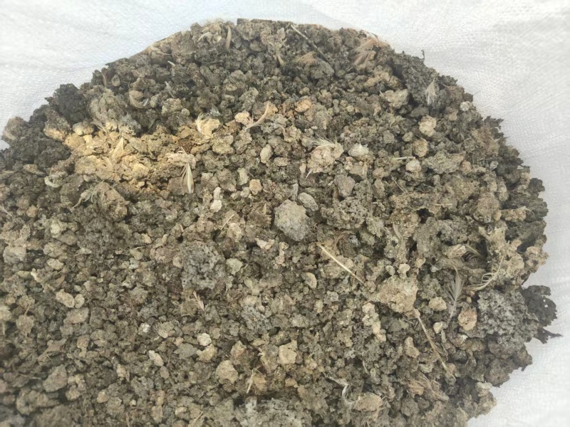晒干小块状鹌鹑粪鸟粪堆放时间长不容易烧根烧苗肥效好
