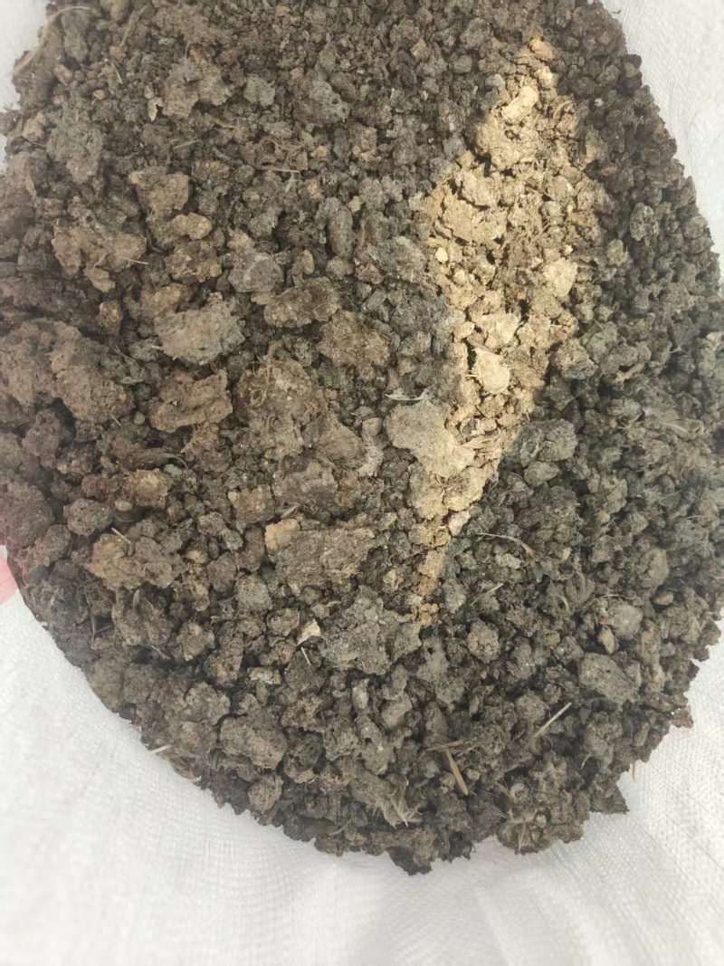 晒干小块状鹌鹑粪鸟粪堆放时间长不容易烧根烧苗肥效好