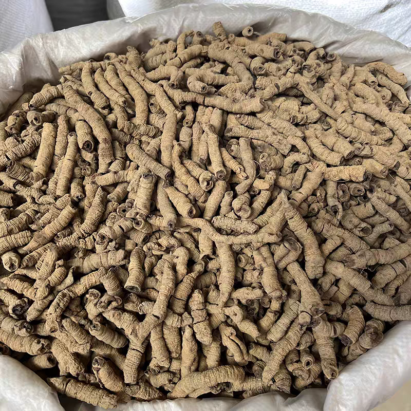 巴戟天正宗德庆中药材野生巴吉天抽芯新货无硫一手货源批发