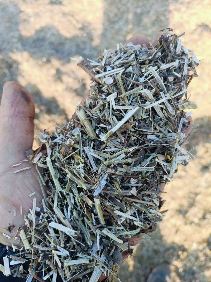 花生秧中小草大量供应欢迎新老顾客进店选购