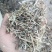 花生秧中小草大量供应欢迎新老顾客进店选购