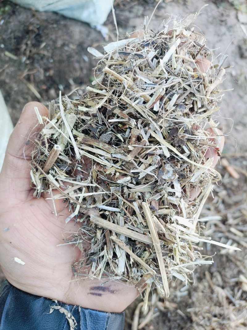 花生秧中小草大量供应欢迎新老顾客进店选购