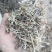花生秧中小草大量供应欢迎新老顾客进店选购
