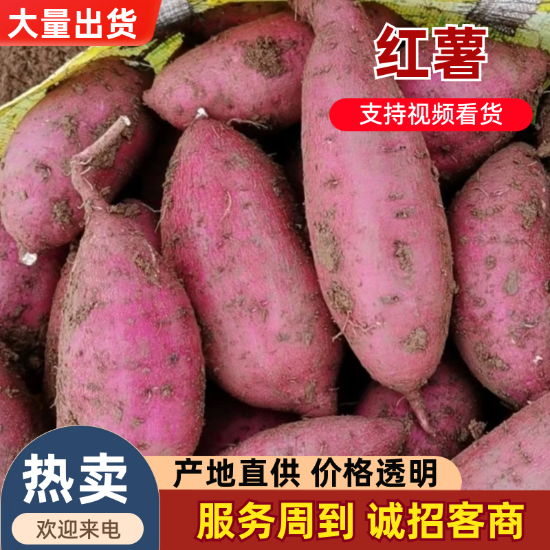 【优选】西瓜红富晒红薯香甜可口保质保量欢迎进店