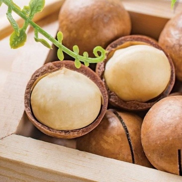 夏威夷果新货电商一件代发批量拿货。