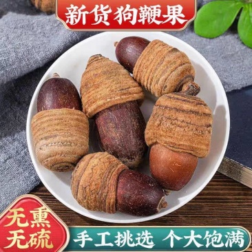 狗鞭果新货狗鞭果猪仔粒毛毛果规格齐全中药材批发