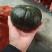 贝贝地爬瓜，内蒙货，南方货都有，供超市，市场出口