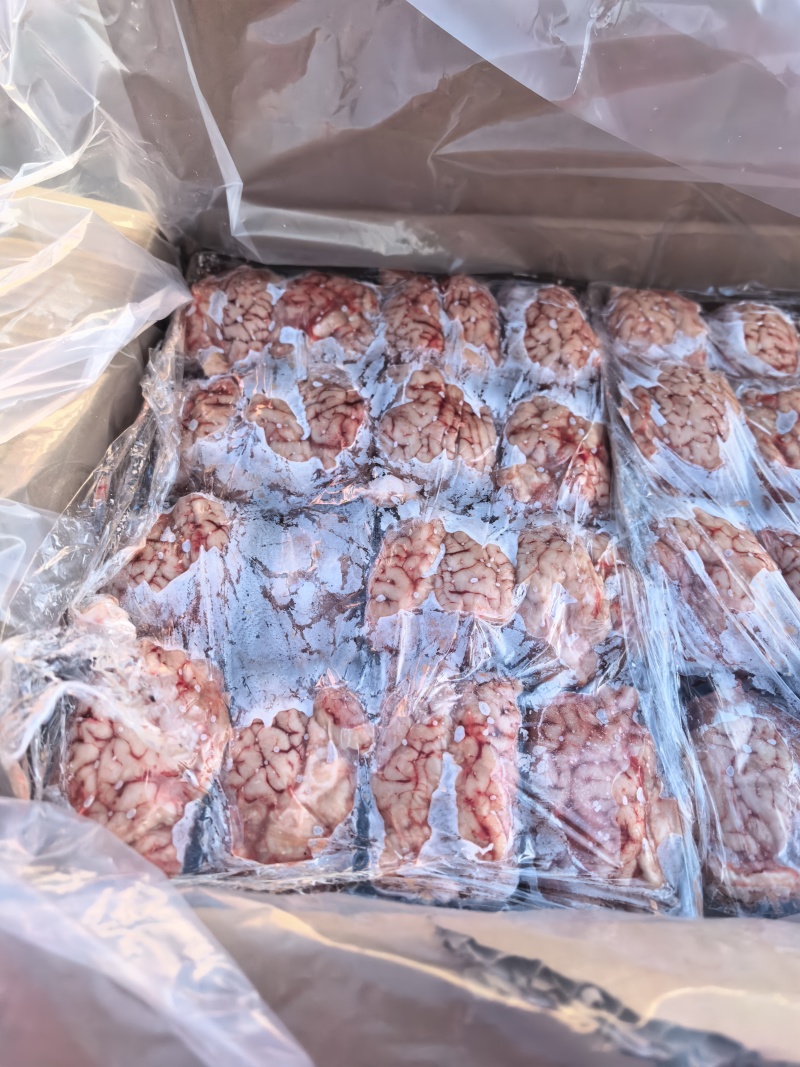 羊白对脑颜色鲜润形态饱满品质保证