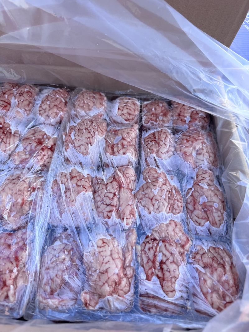 羊白对脑颜色鲜润形态饱满品质保证