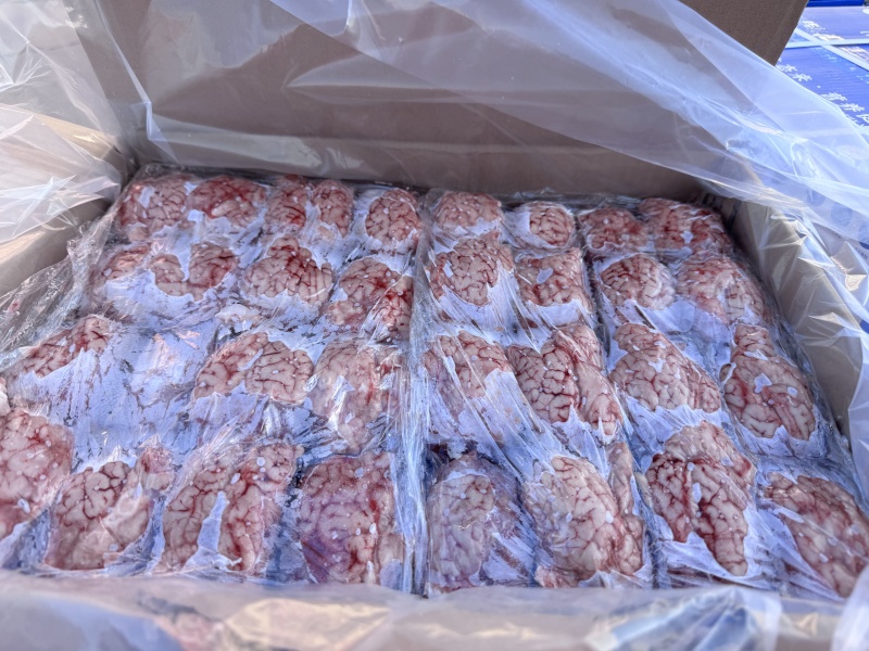 羊白对脑颜色鲜润形态饱满品质保证