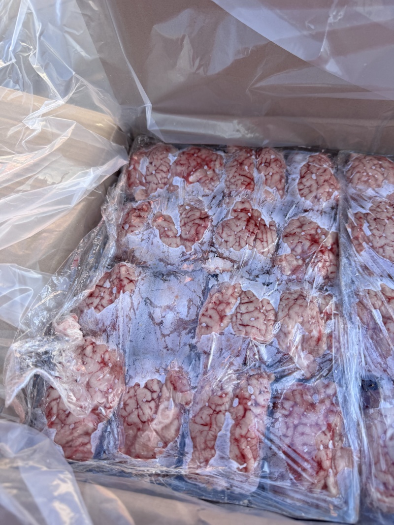 羊白对脑颜色鲜润形态饱满品质保证