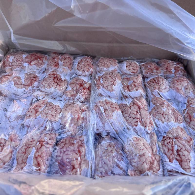 羊白对脑颜色鲜润形态饱满品质保证