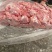 肥猪正一九25kg/袋新货