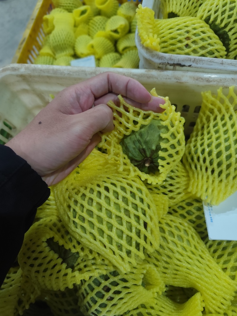 广西凤梨释迦冬果AP释迦电商市场果都在大量上市，电商原料