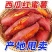 《西瓜红红薯》河北基地直发保质保量一条龙服务量大从优