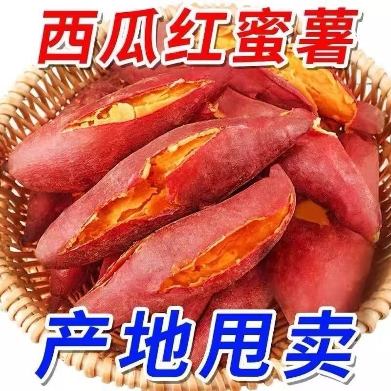 《西瓜红红薯》河北基地直发保质保量一条龙服务量大从优