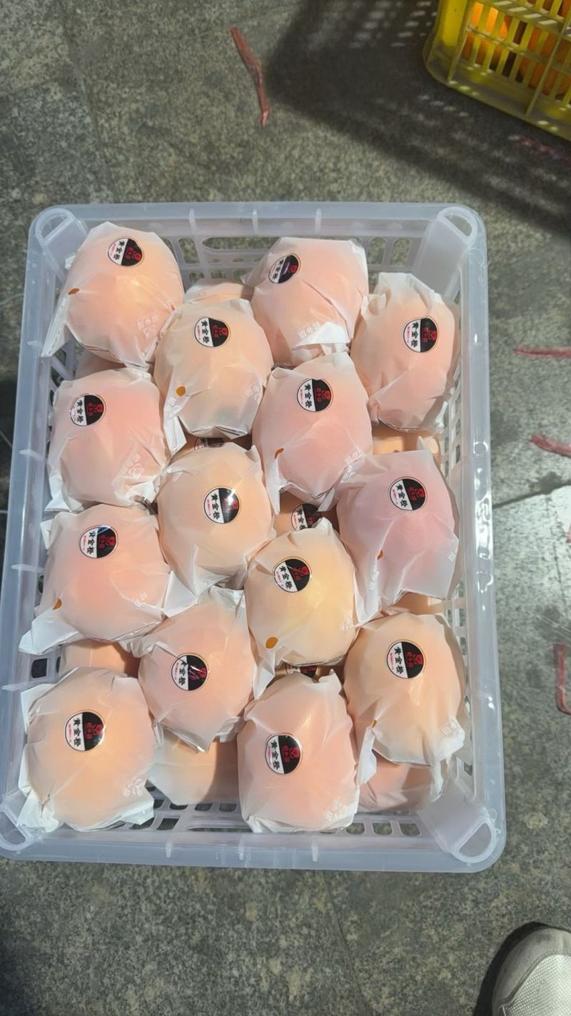 【推荐】湖北纽荷尔脐橙/视频看货/对接电商商超批发市场