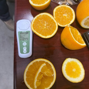 【推荐】湖北纽荷尔脐橙/视频看货/对接电商商超批发市场