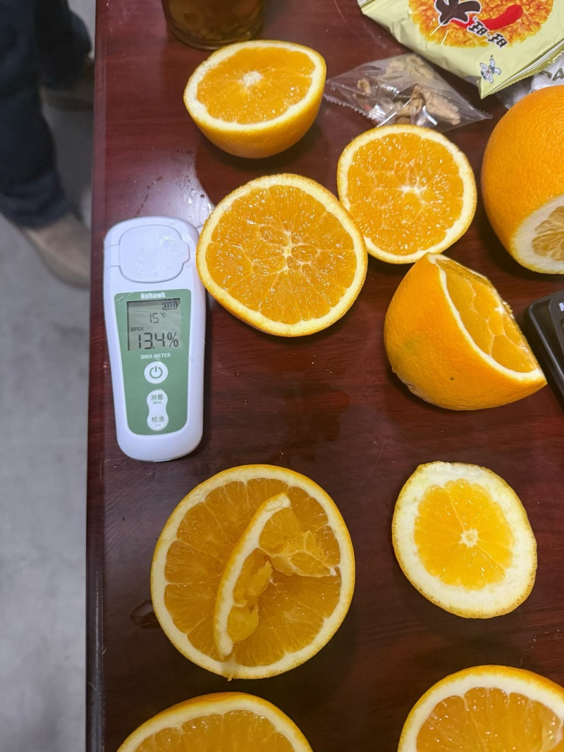 【推荐】湖北纽荷尔脐橙/视频看货/对接电商商超批发市场