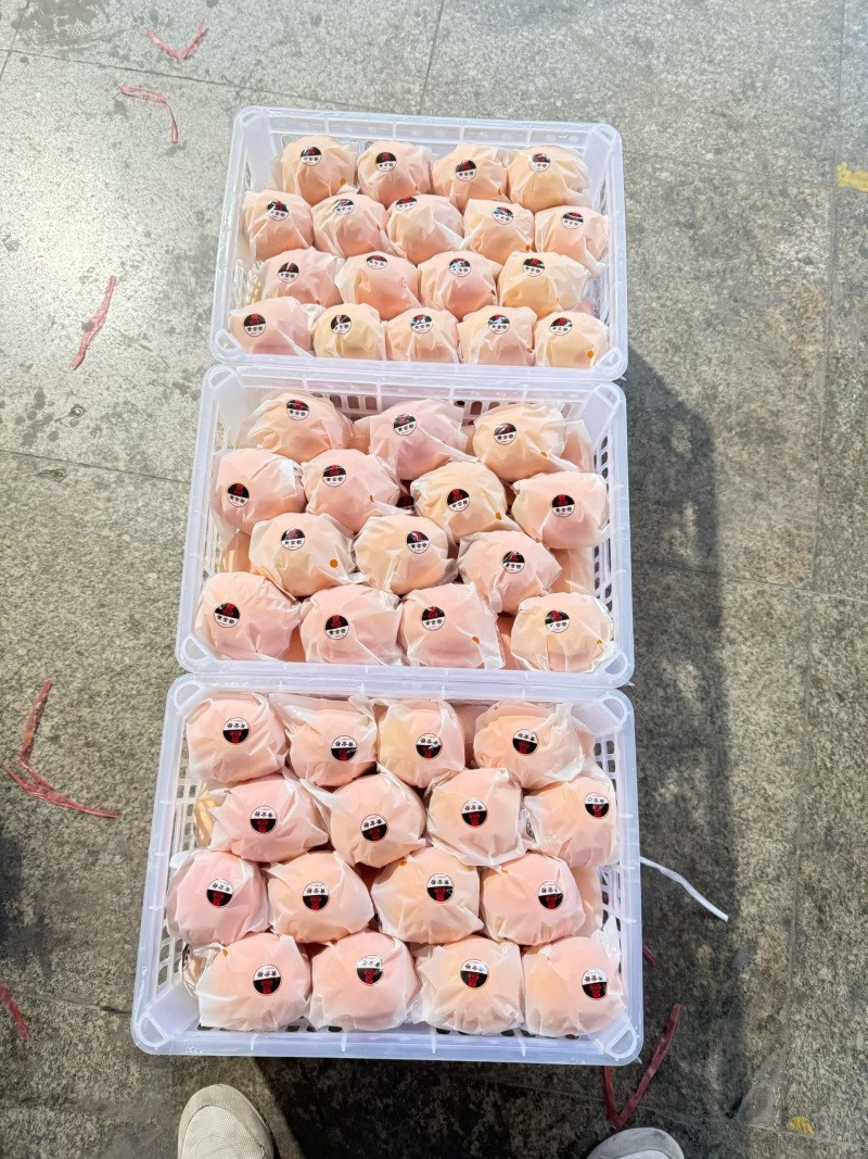 【推荐】湖北纽荷尔脐橙/视频看货/对接电商商超批发市场