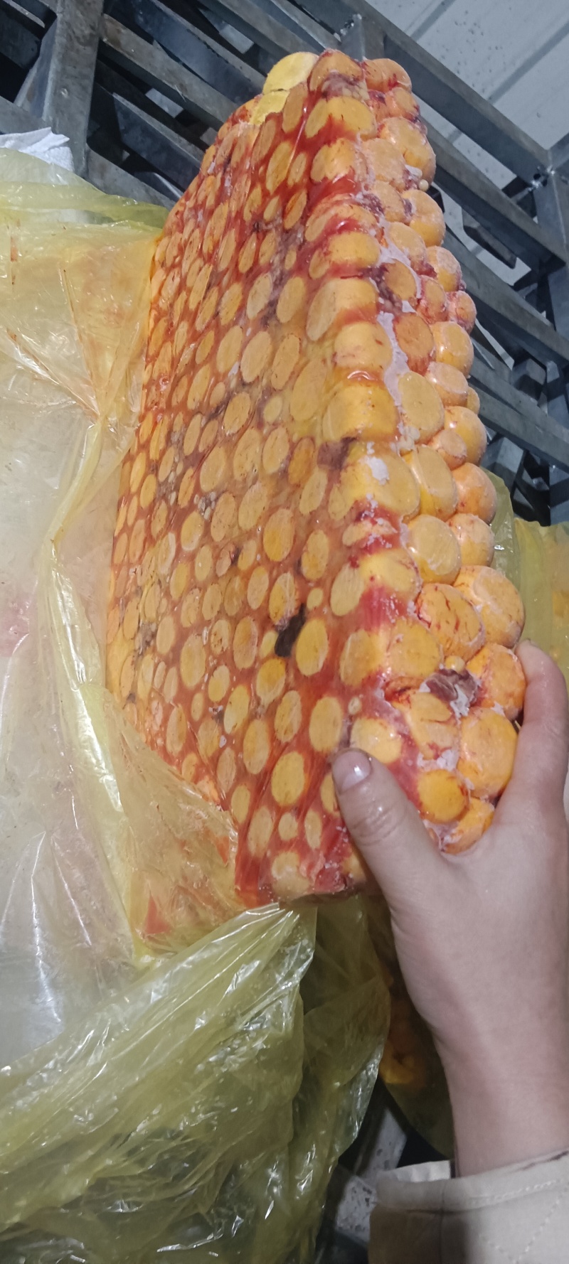 水洗板冻蛋黄，可以定做小包装蛋黄