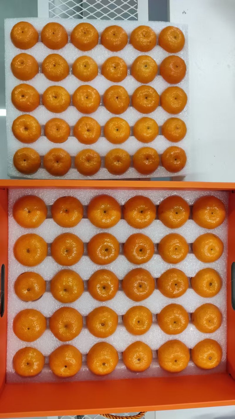 南丰蜜橘/江西蜜橘/精品品牌礼盒，精品货质量好可视频看货