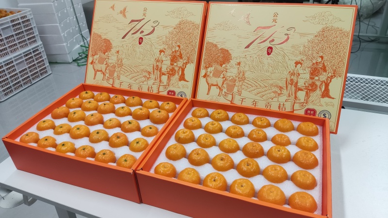 南丰蜜橘/江西蜜橘/精品品牌礼盒，精品货质量好可视频看货