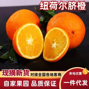 【一件代发包邮到家】湖北果园新鲜直采纽荷尔脐橙甜汁