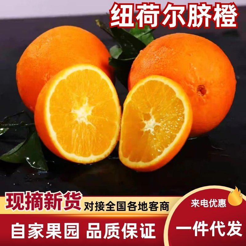 【一件代发包邮到家】湖北果园新鲜直采纽荷尔脐橙甜汁