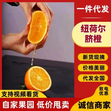 纽荷尔脐橙产地直发，自然成熟，一手货源，品质保