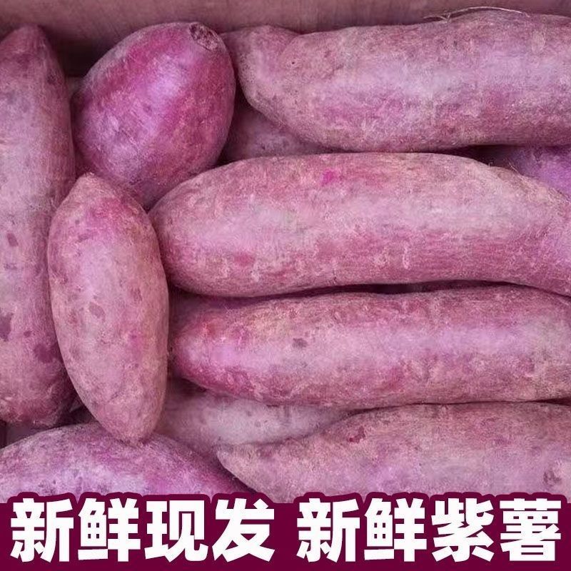 紫薯产地一手货源，量大优惠欢迎新老客户合作