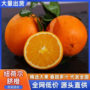 湖北橙子纽荷尔脐橙原生态水果，一件代发包邮货源充足