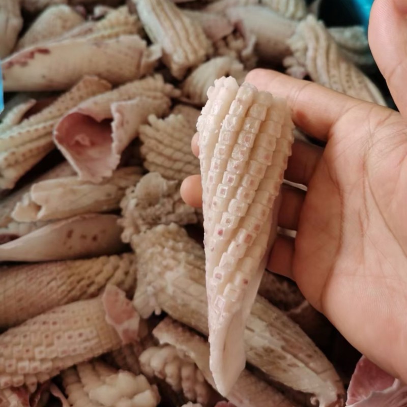 鱿鱼花鱿鱼卷火锅食材火锅烧烤食材尤鱼海鲜批发去皮鱿鱼花
