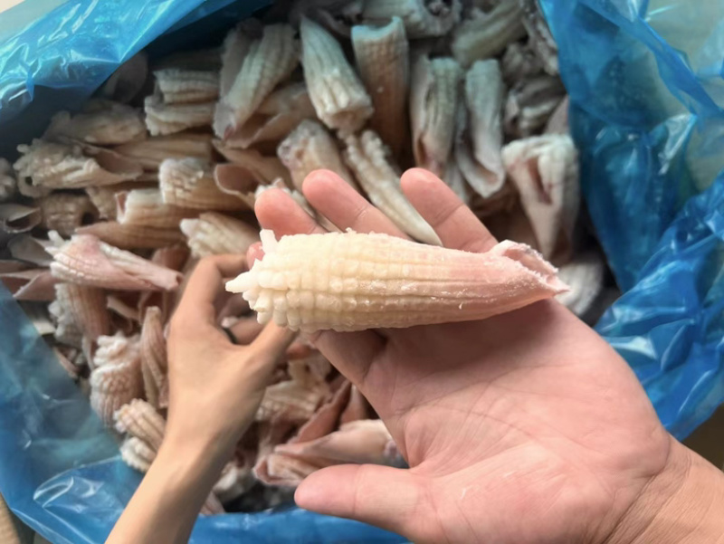 鱿鱼花鱿鱼卷火锅食材火锅烧烤食材尤鱼海鲜批发去皮鱿鱼花