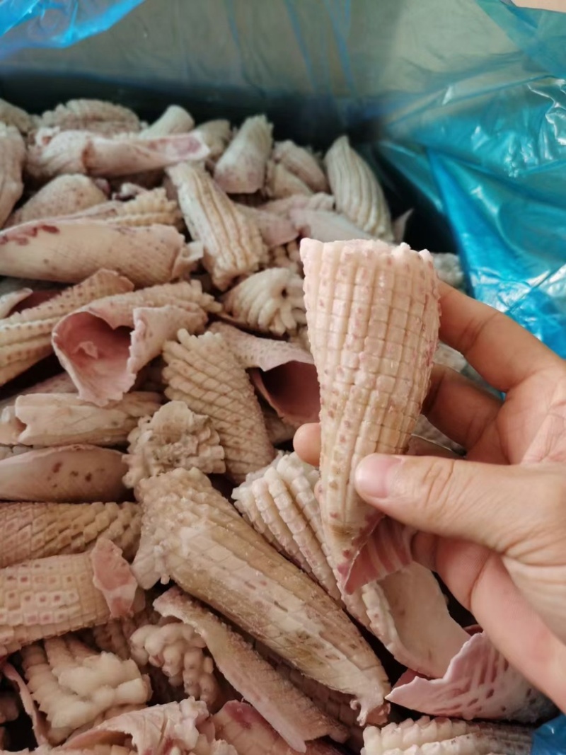 鱿鱼花鱿鱼卷火锅食材火锅烧烤食材尤鱼海鲜批发去皮鱿鱼花