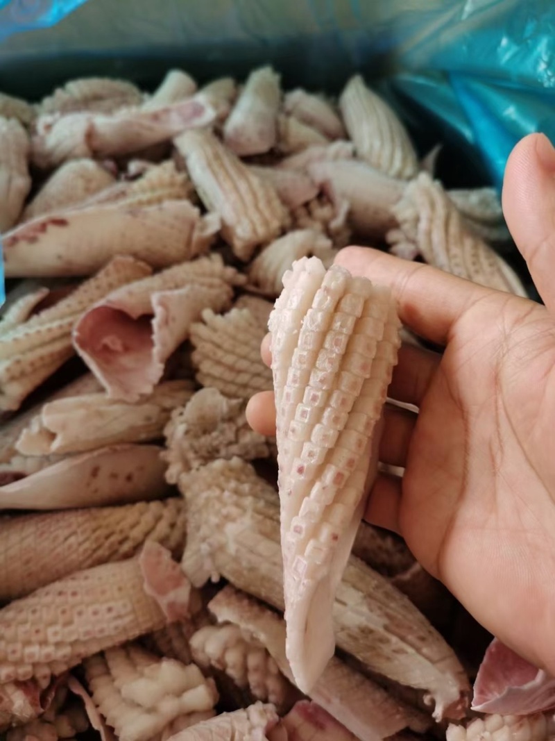 鱿鱼花鱿鱼卷火锅食材火锅烧烤食材尤鱼海鲜批发去皮鱿鱼花