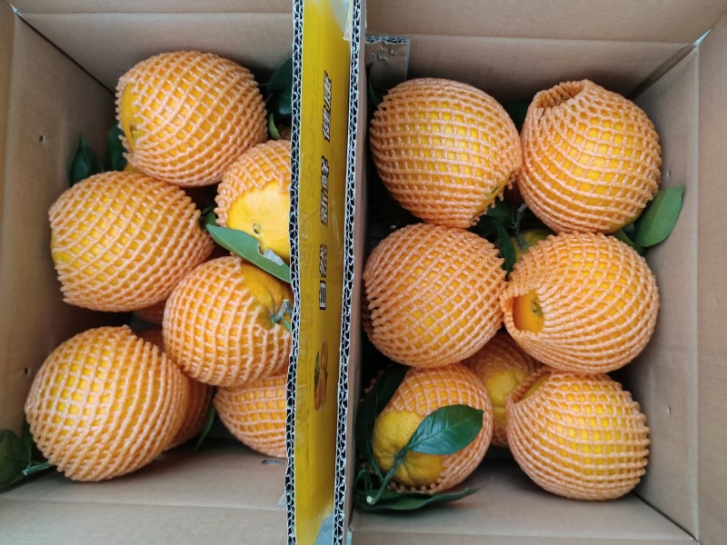 【热卖推荐】纽荷尔脐橙酸甜可口新鲜现摘一件代发包邮
