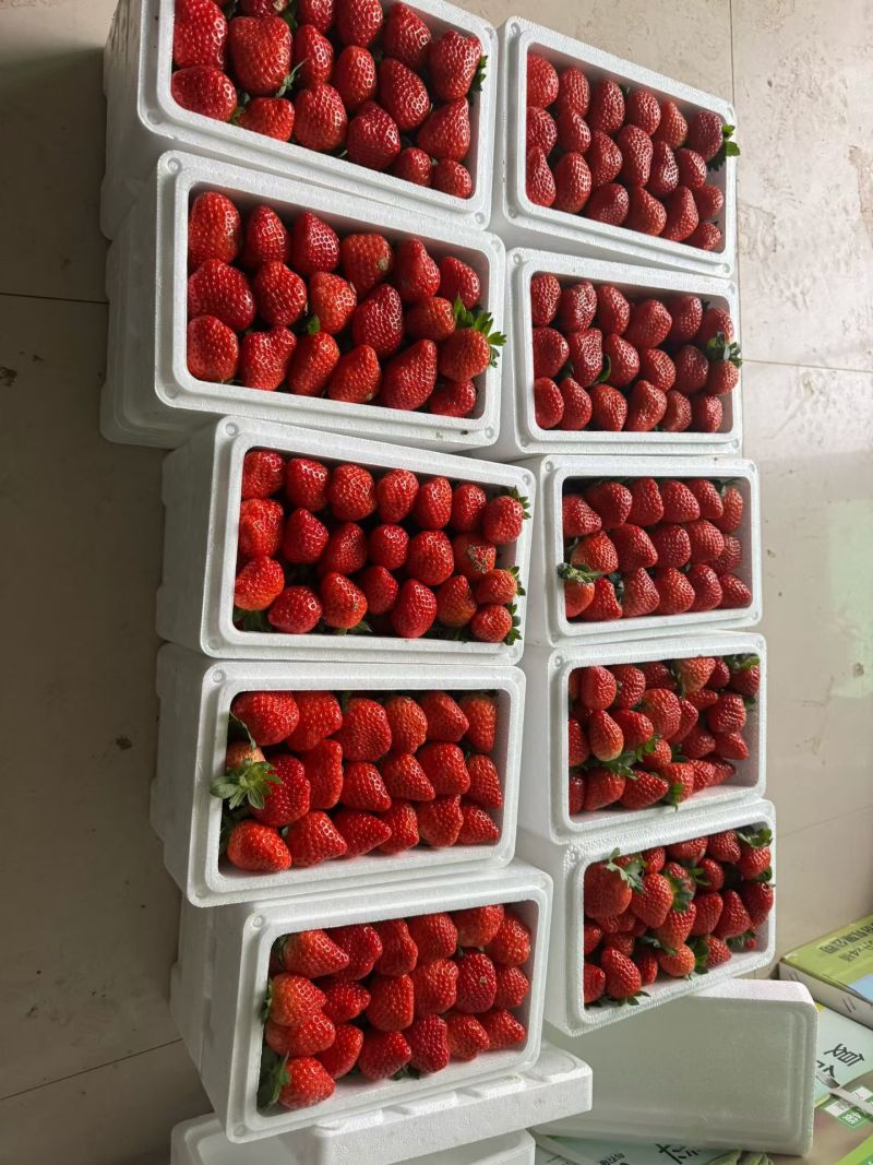 藏香草莓