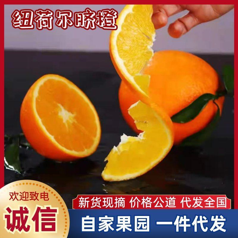 【热卖推荐】纽荷尔脐橙酸甜可口新鲜现摘一件代发包邮