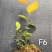 丹东市振安区蓝莓组培苗苔藓苗基地F6组培苔藓苗