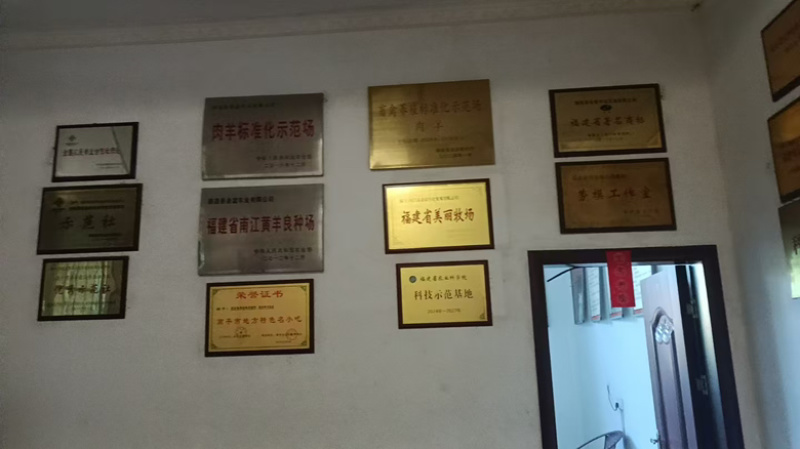 福建本地羊肉活羊大量供应基地直发，量大，从优现场看货