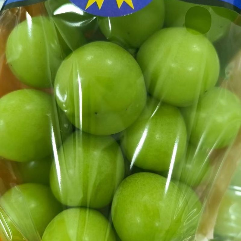 精品阳光玫瑰优质葡萄大量供应可视频看货欢迎来电采购