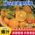 高山沙地爱媛果冻橙，口感细腻香甜，高品质优选