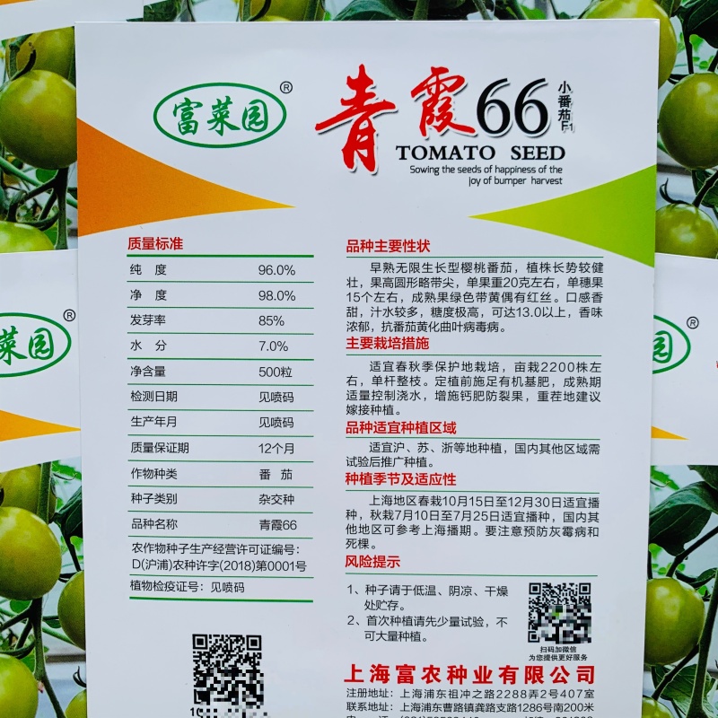 青霞66小番茄种子超甜樱桃番茄种子青色水果番茄糖度高香甜