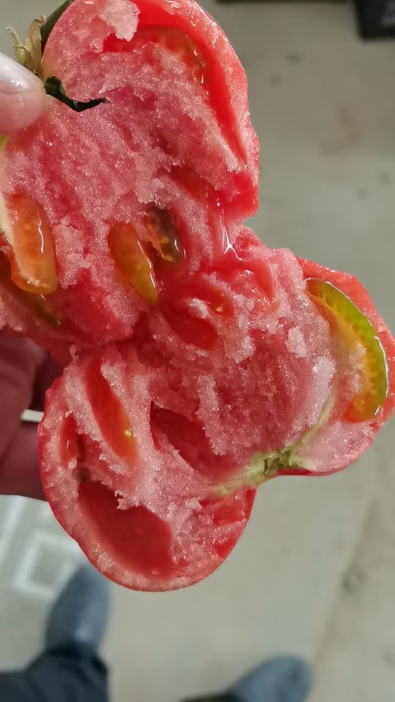 水果西红柿