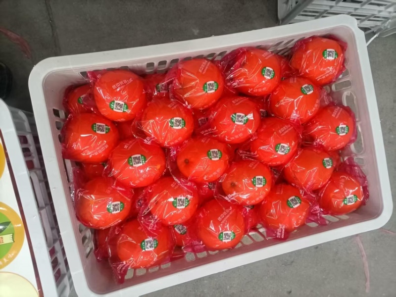【鲜橙】纽荷尔脐橙主产地直供新鲜采摘落地直发！